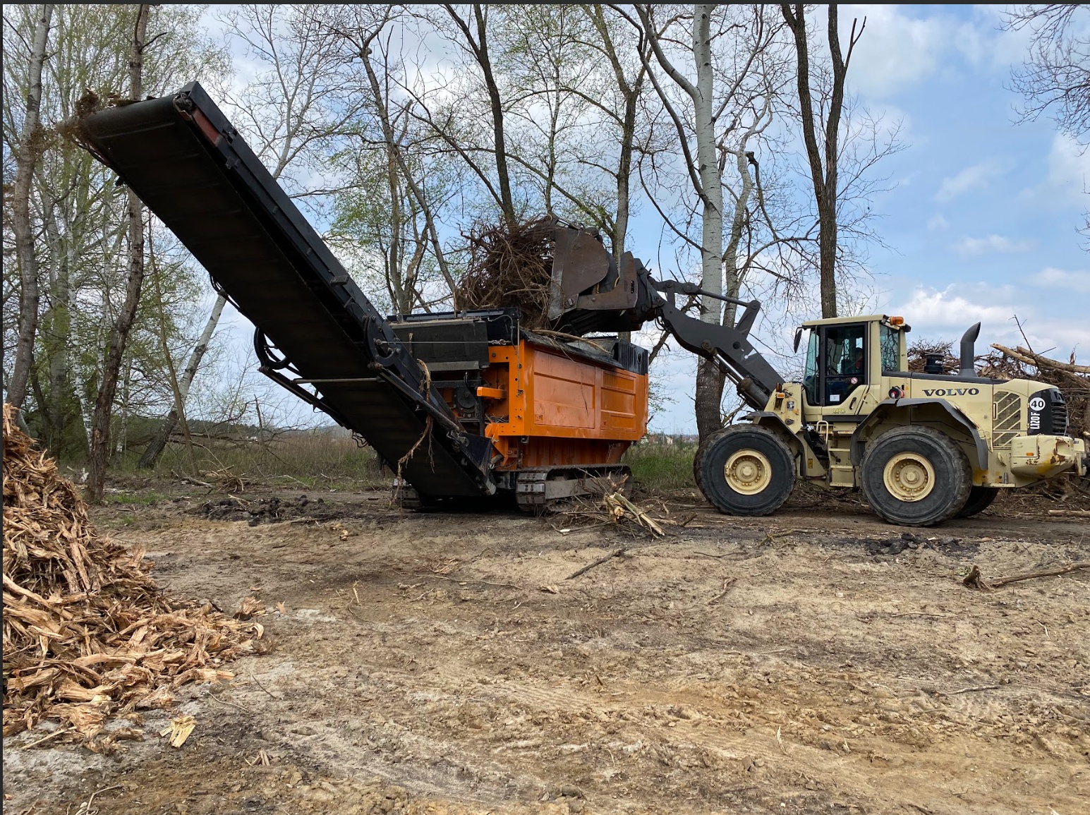 SAVE CZ s.r.o. - drcení dřeva foto 5