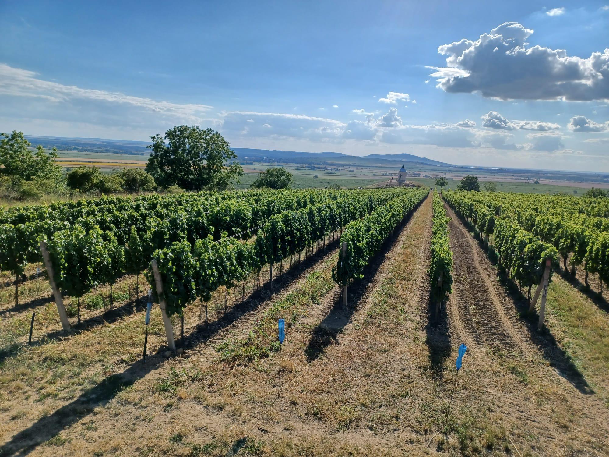 Sklep u Hrabalů foto 4