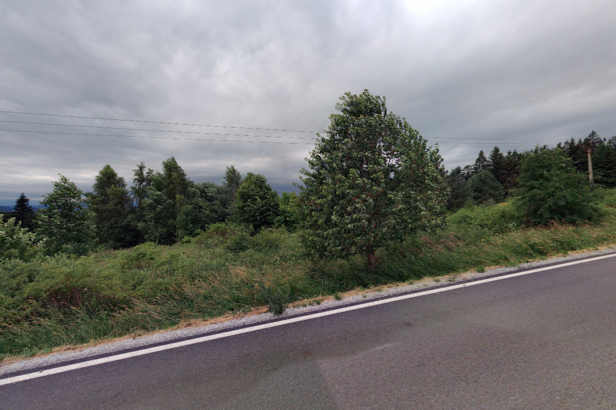 Šárka Čermáková