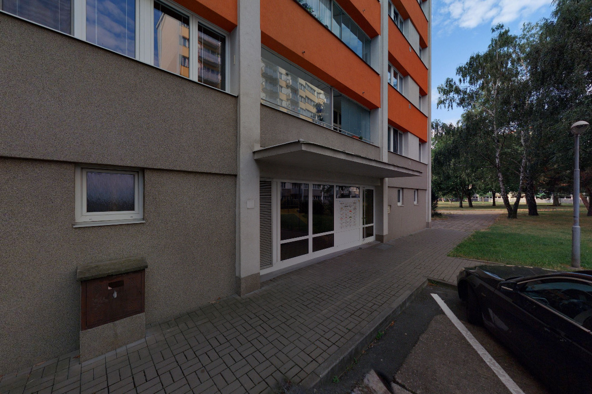 Ponozky-tlapka.cz foto 2