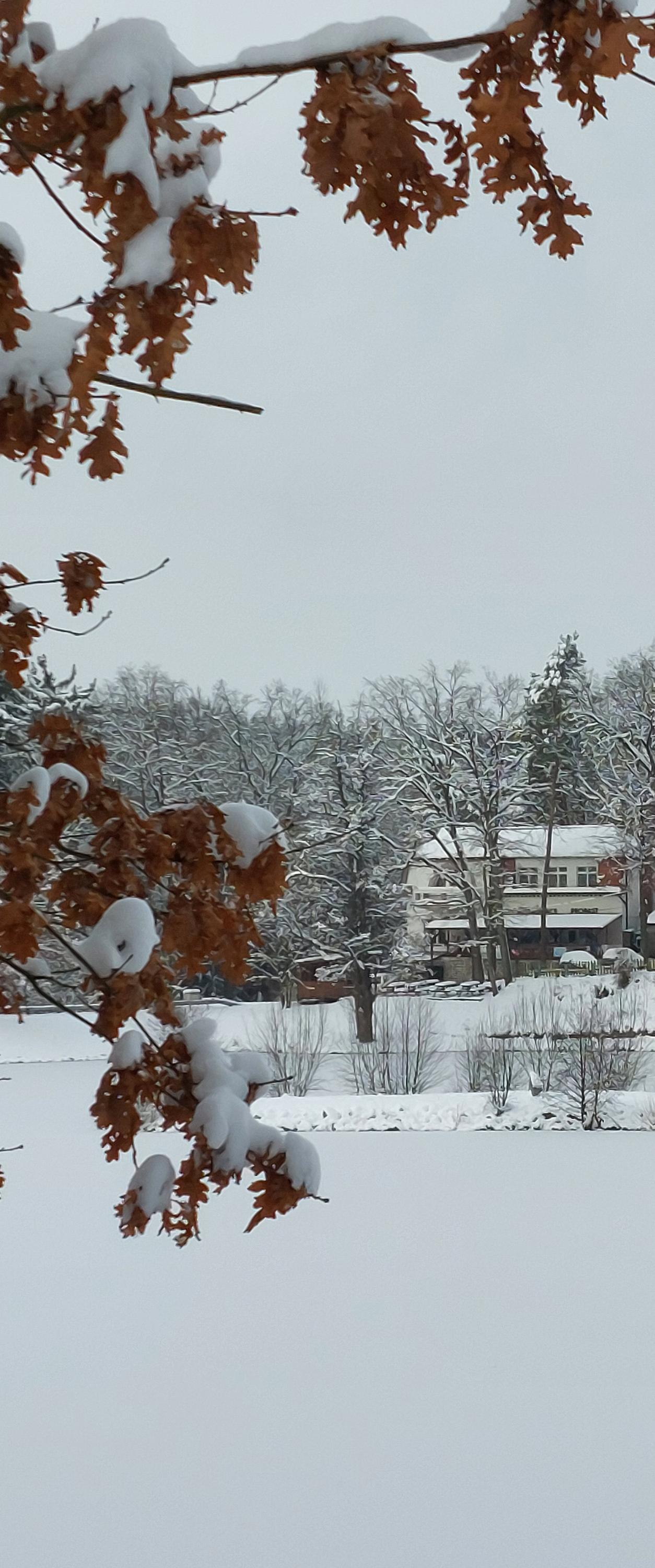 Restaurace Na Propasti foto 5