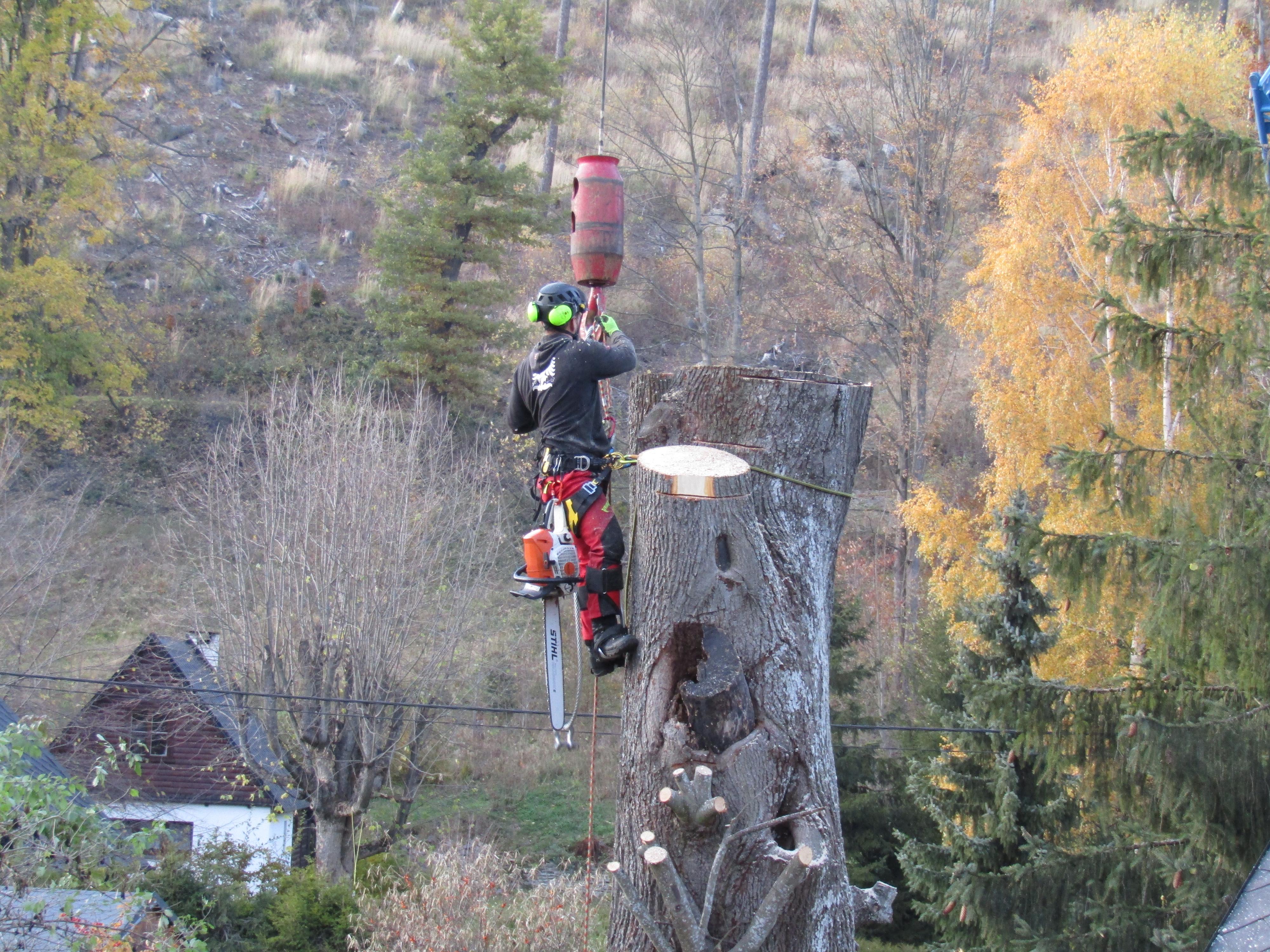 Arboristika Kamil Švec foto 3