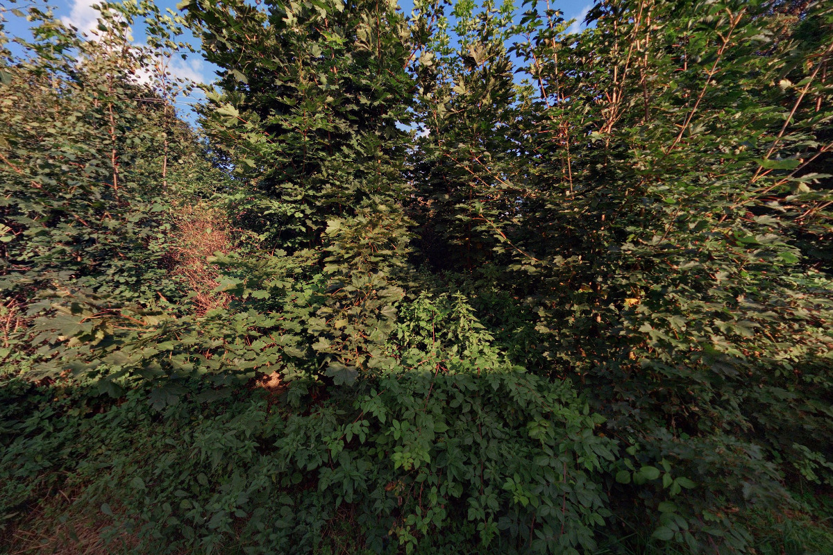 Apartmán U krbu foto 1