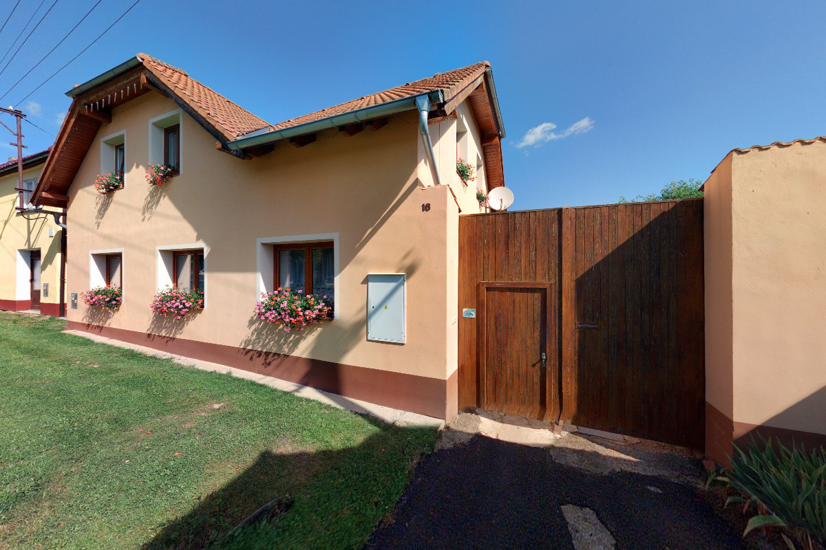 Malířství - Petr Pavlík