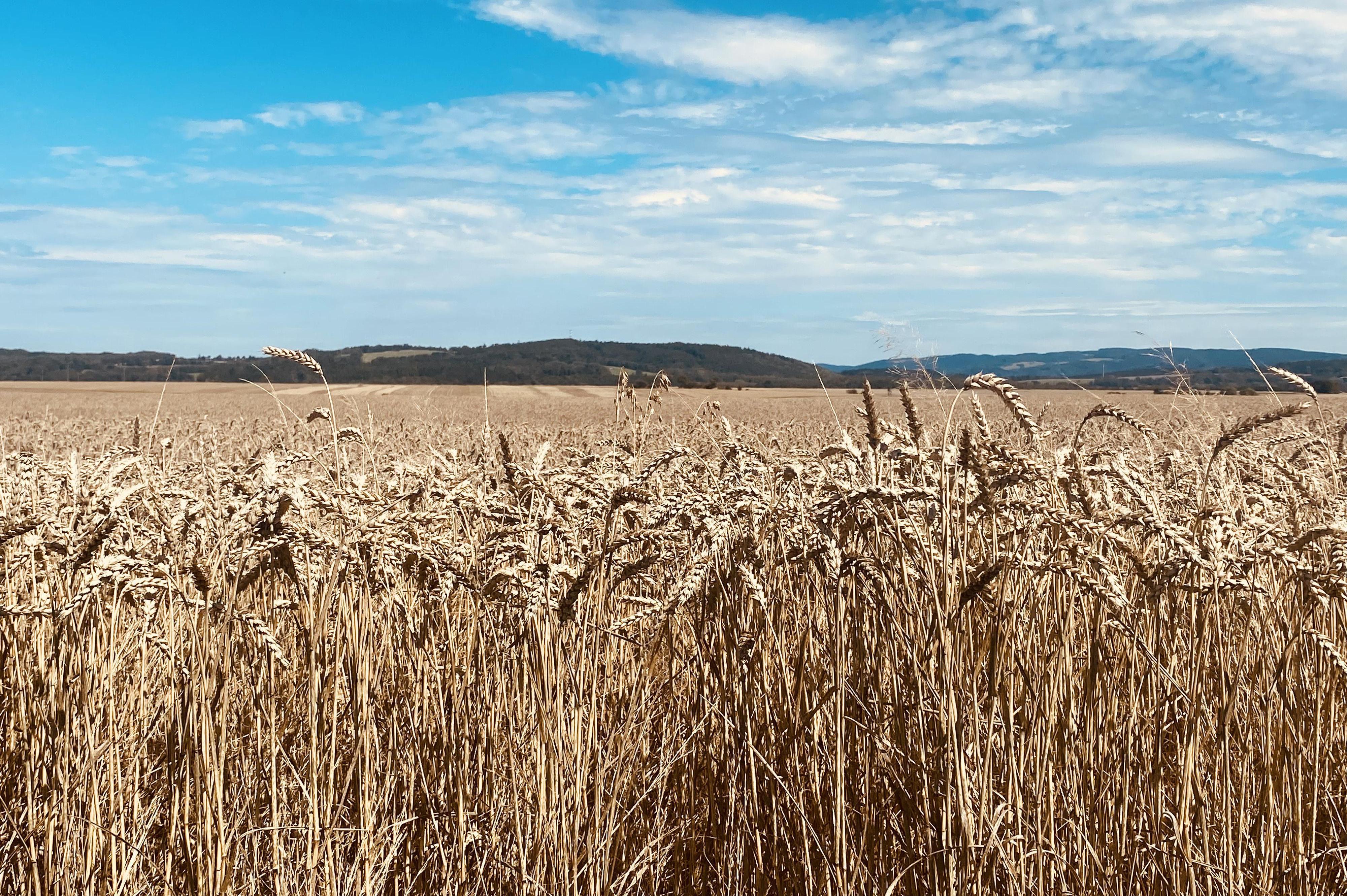 AGROSEED TRADE, s.r.o.