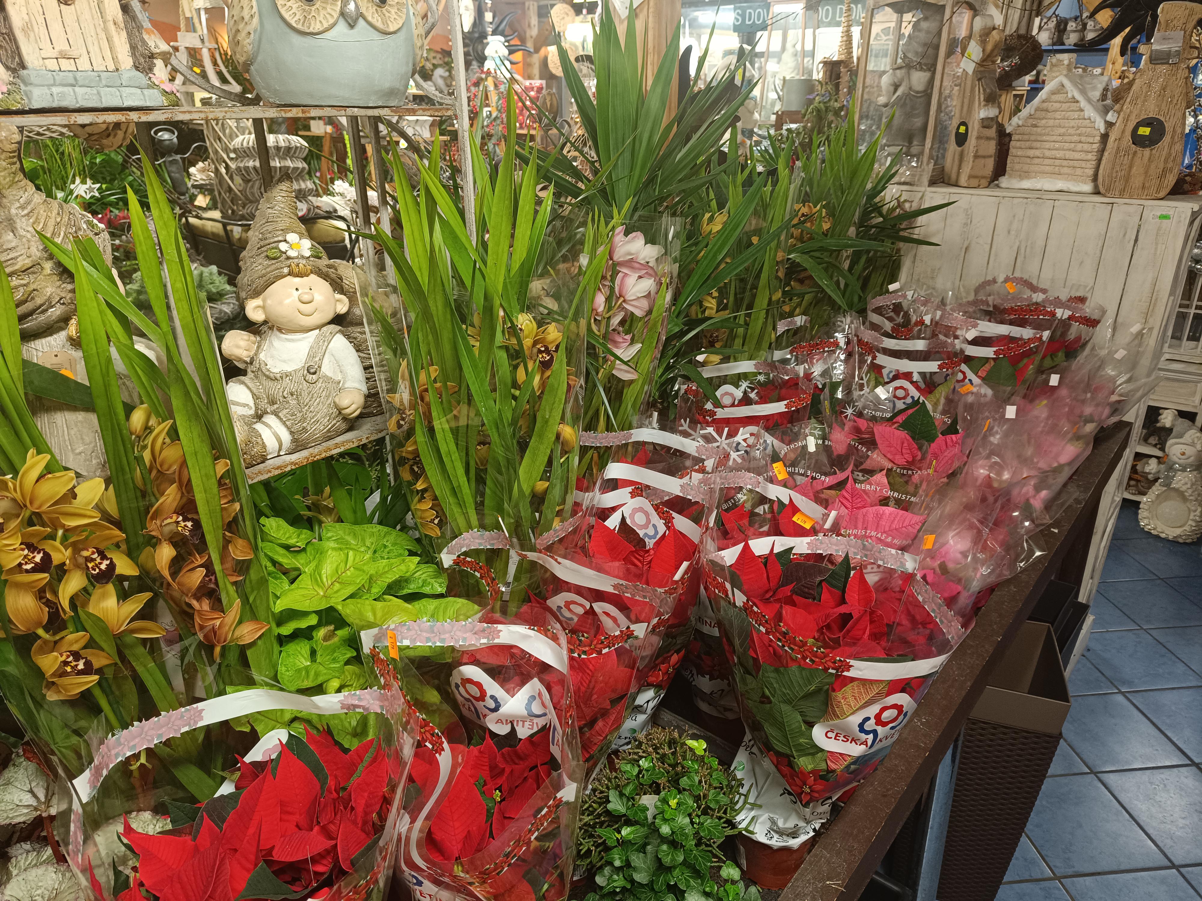 Květinářství U Koryčanských foto 6