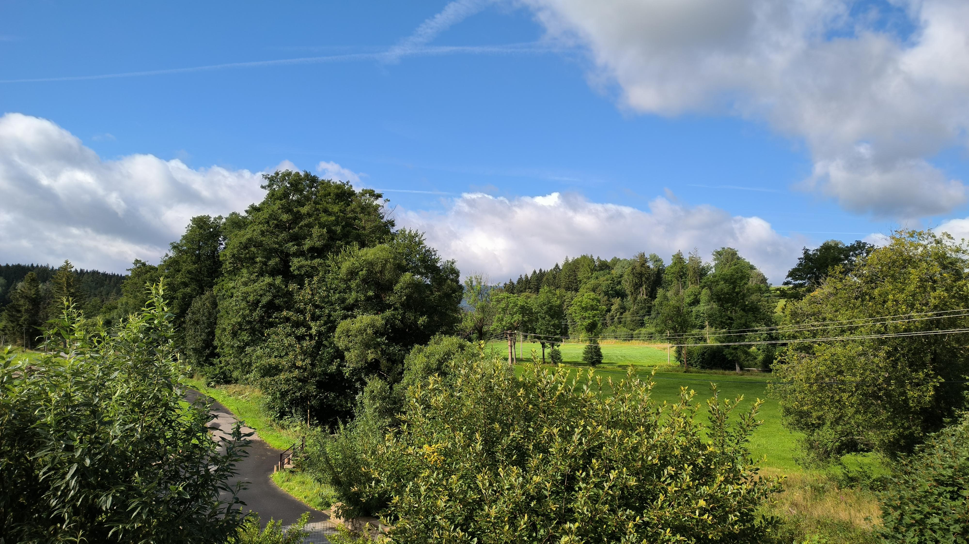 Apartmány Ve Mlejně foto 4