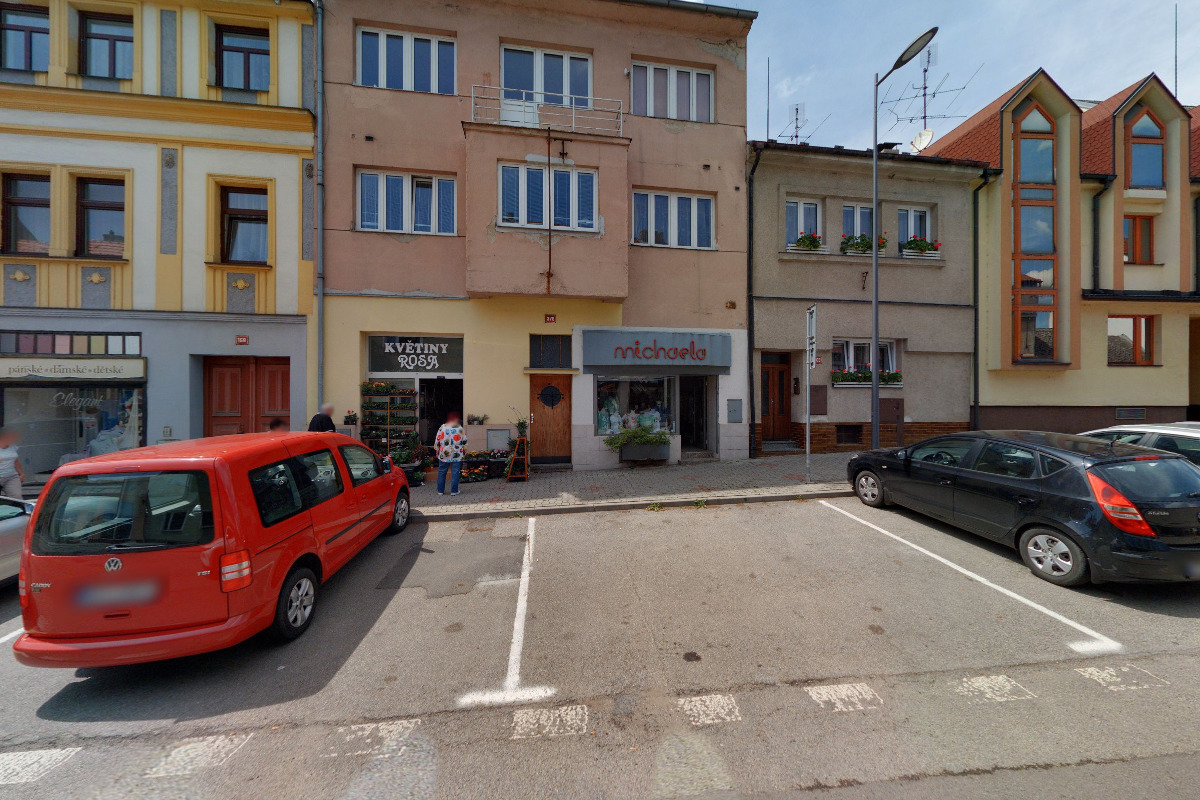 Květiny Rosa foto 2