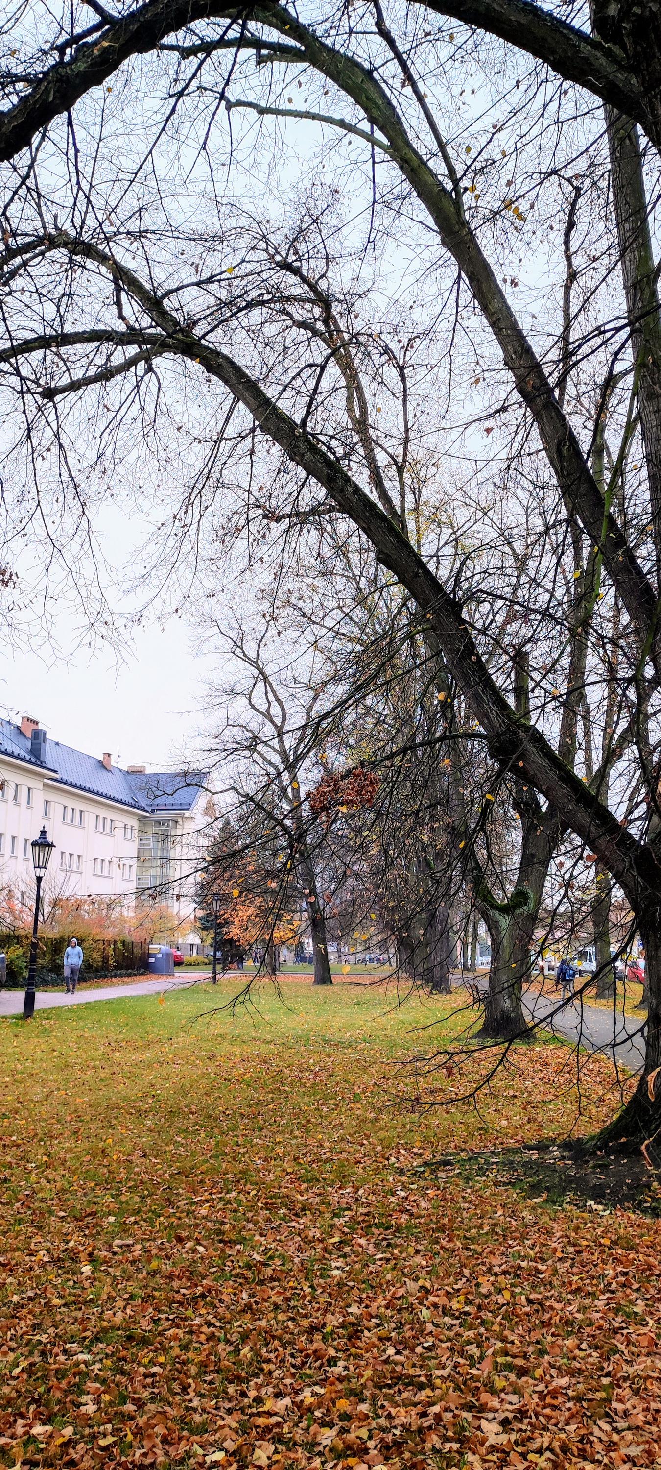 ZŠ T. G. Masaryka Rokycany, příspěvková organizace foto 5