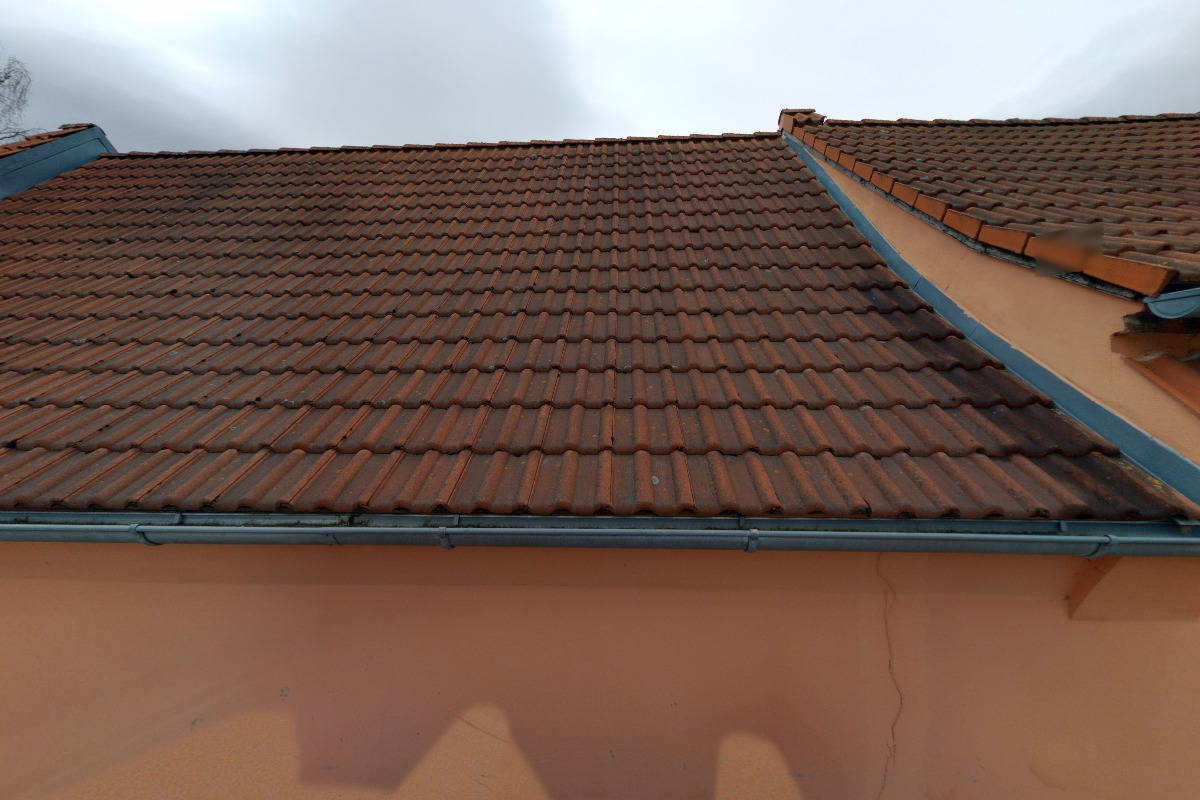 Daňový poradce ev. č. 2592 Ing. Ivana Čížková foto 2