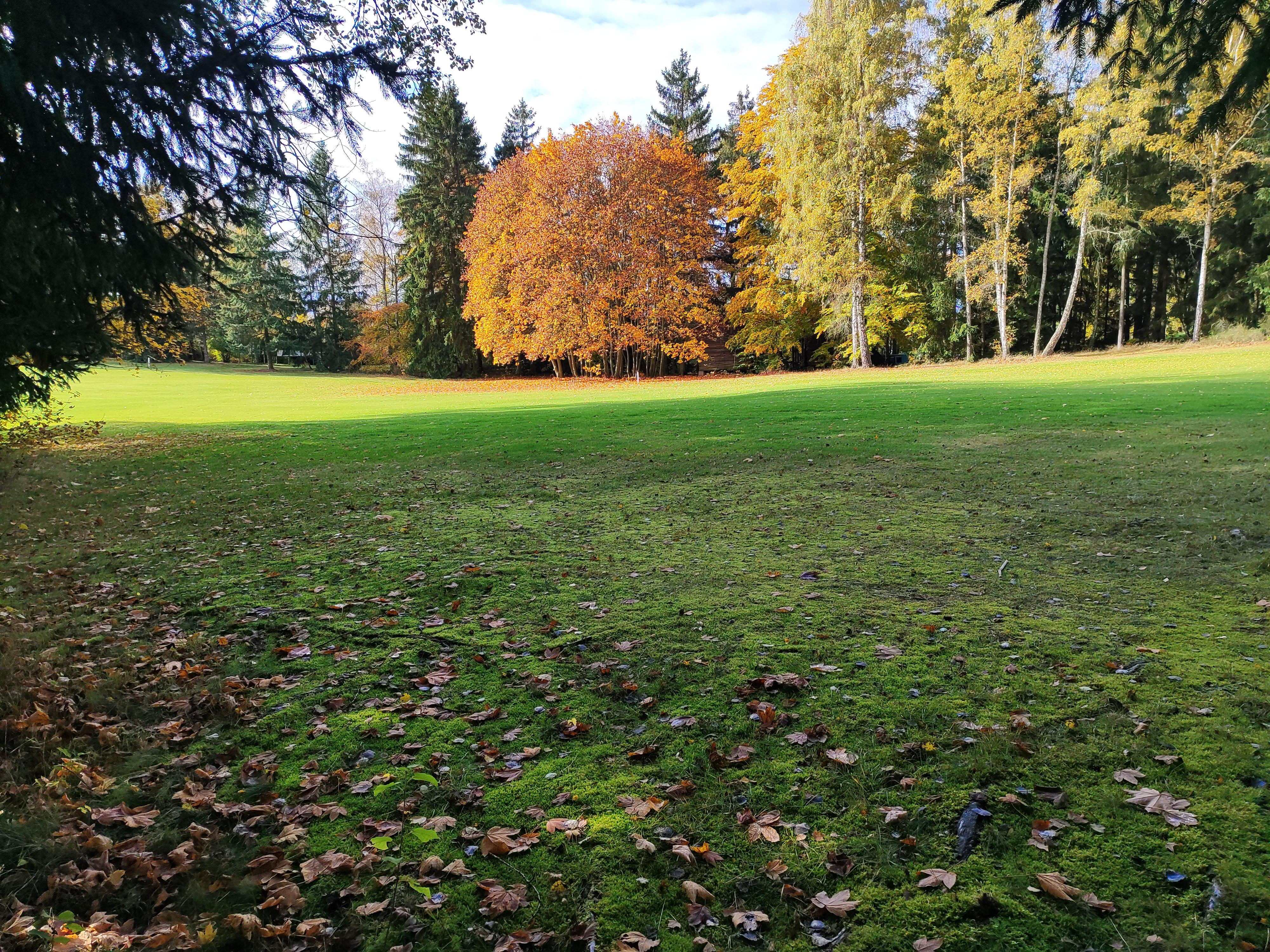 Golf Resort Karlovy Vary foto 6