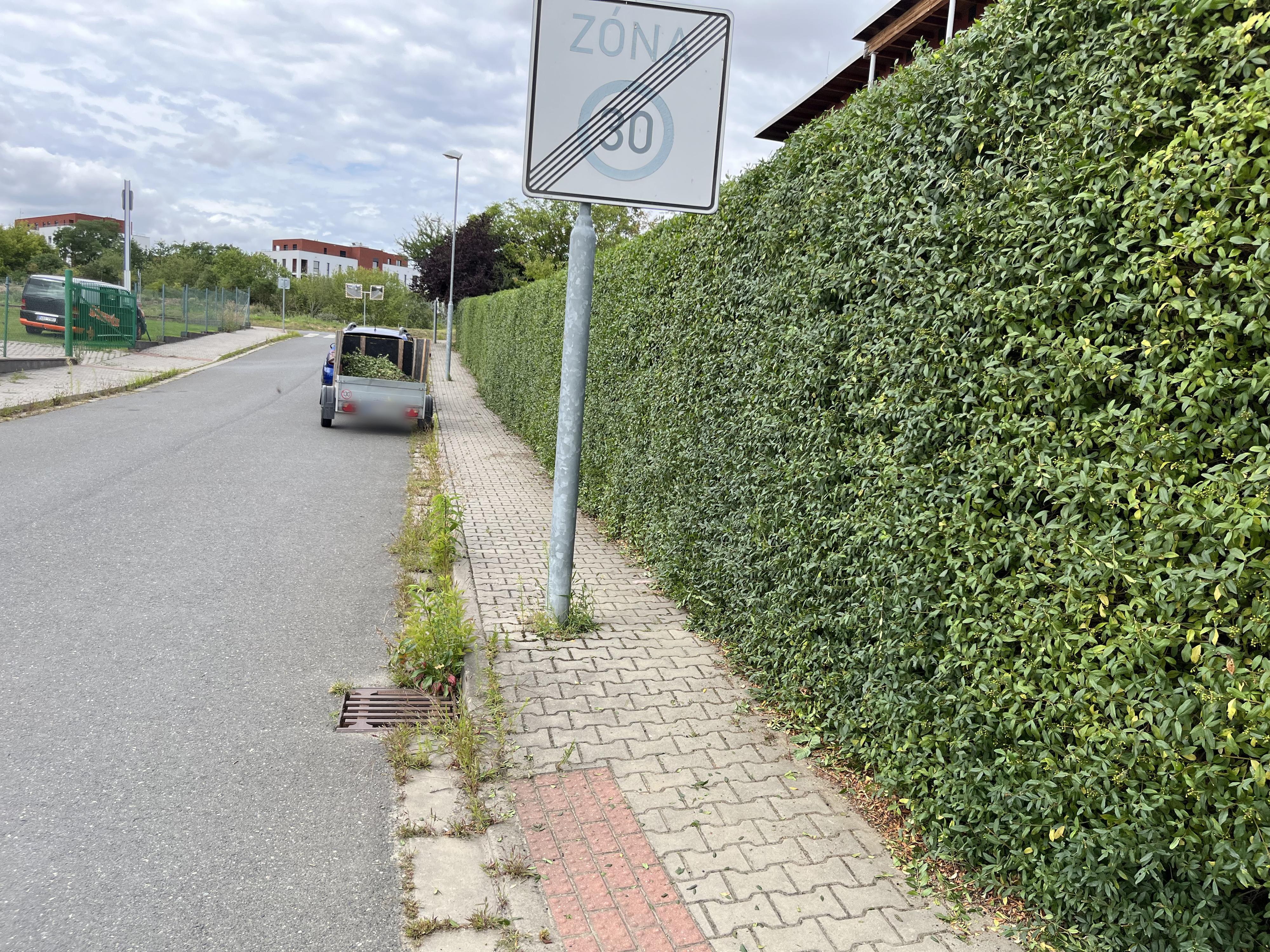 Bc. Milan Šesták - údržba zeleně foto 2