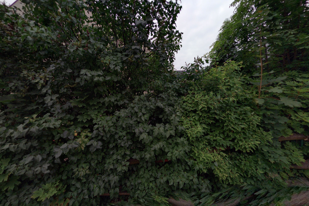 Potraviny - uzeniny HRUŠKA