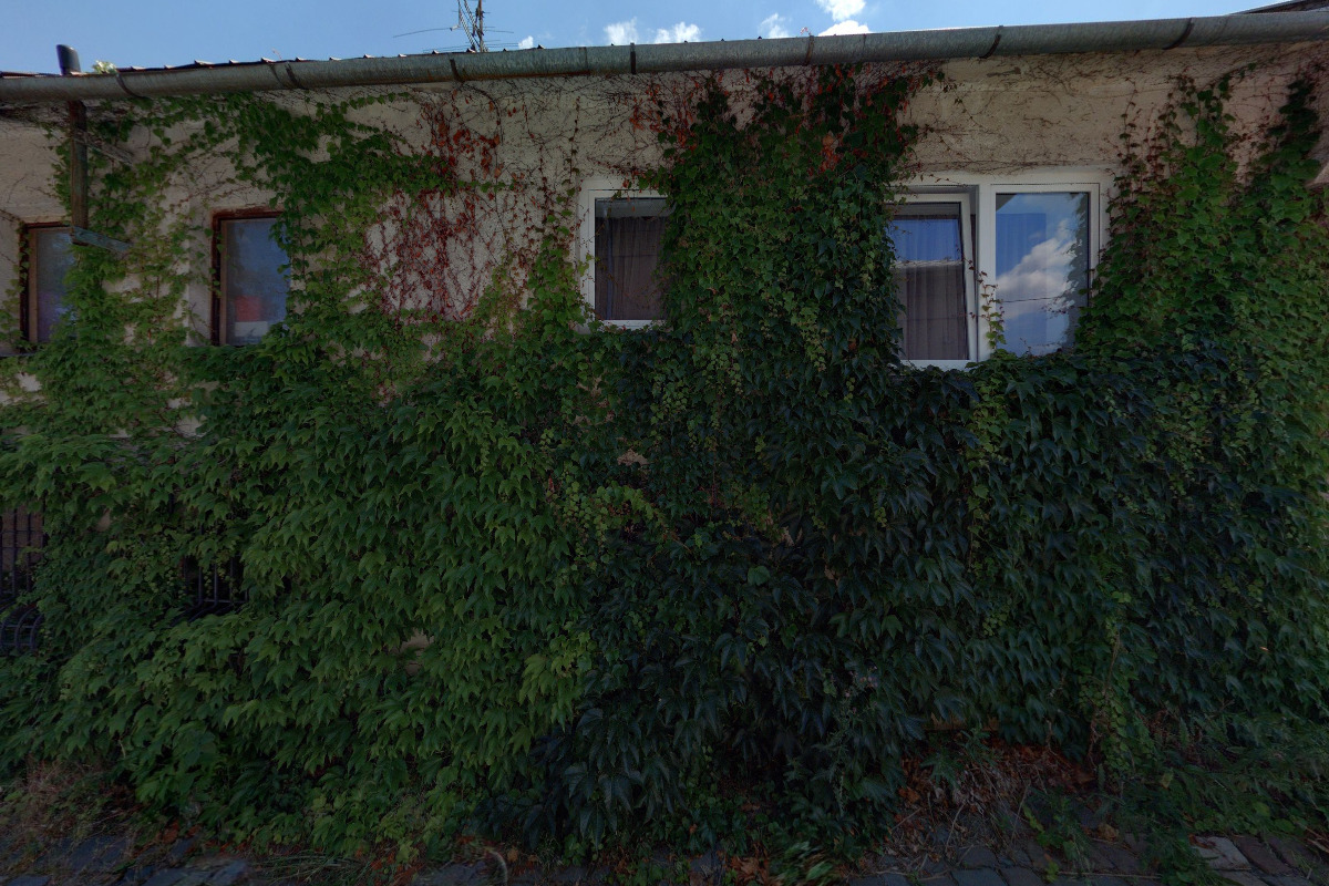 Natalia Radovanovičová - 4animal