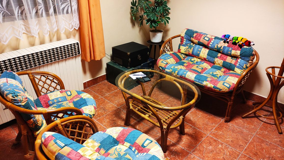 Proffins - Petr Šárek foto 2