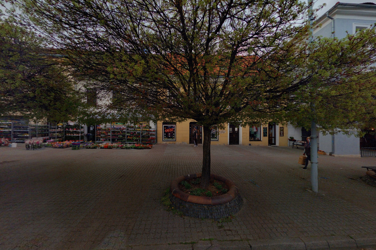 Cotton oblečení - Marie Mazancová foto 3