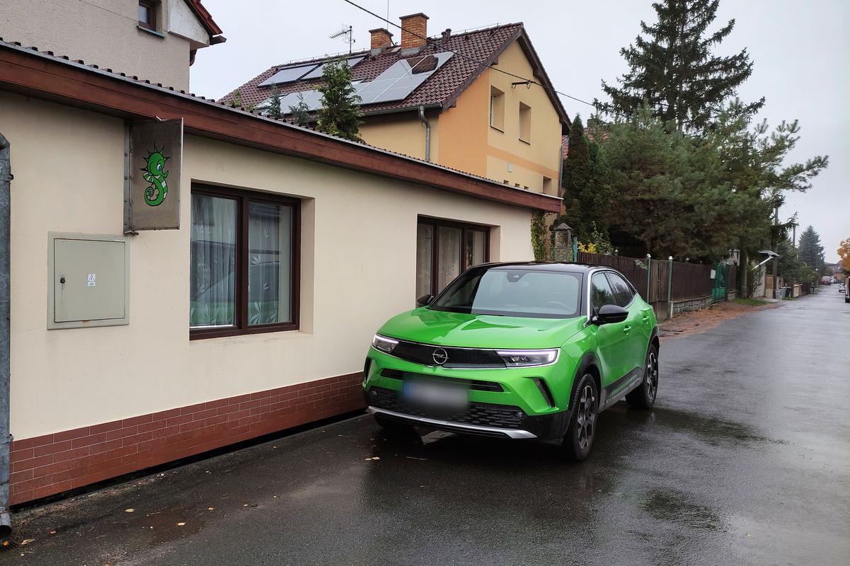 Proffins - Petr Šárek