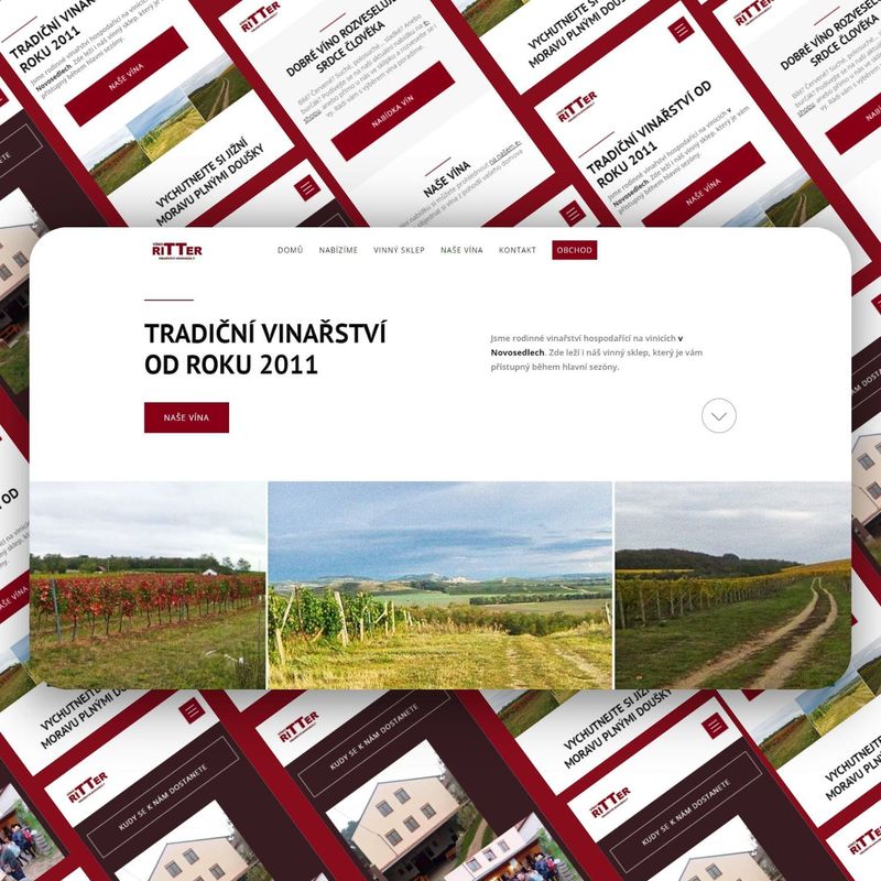Hedviga Nosáľová - Tvorba webů foto 5