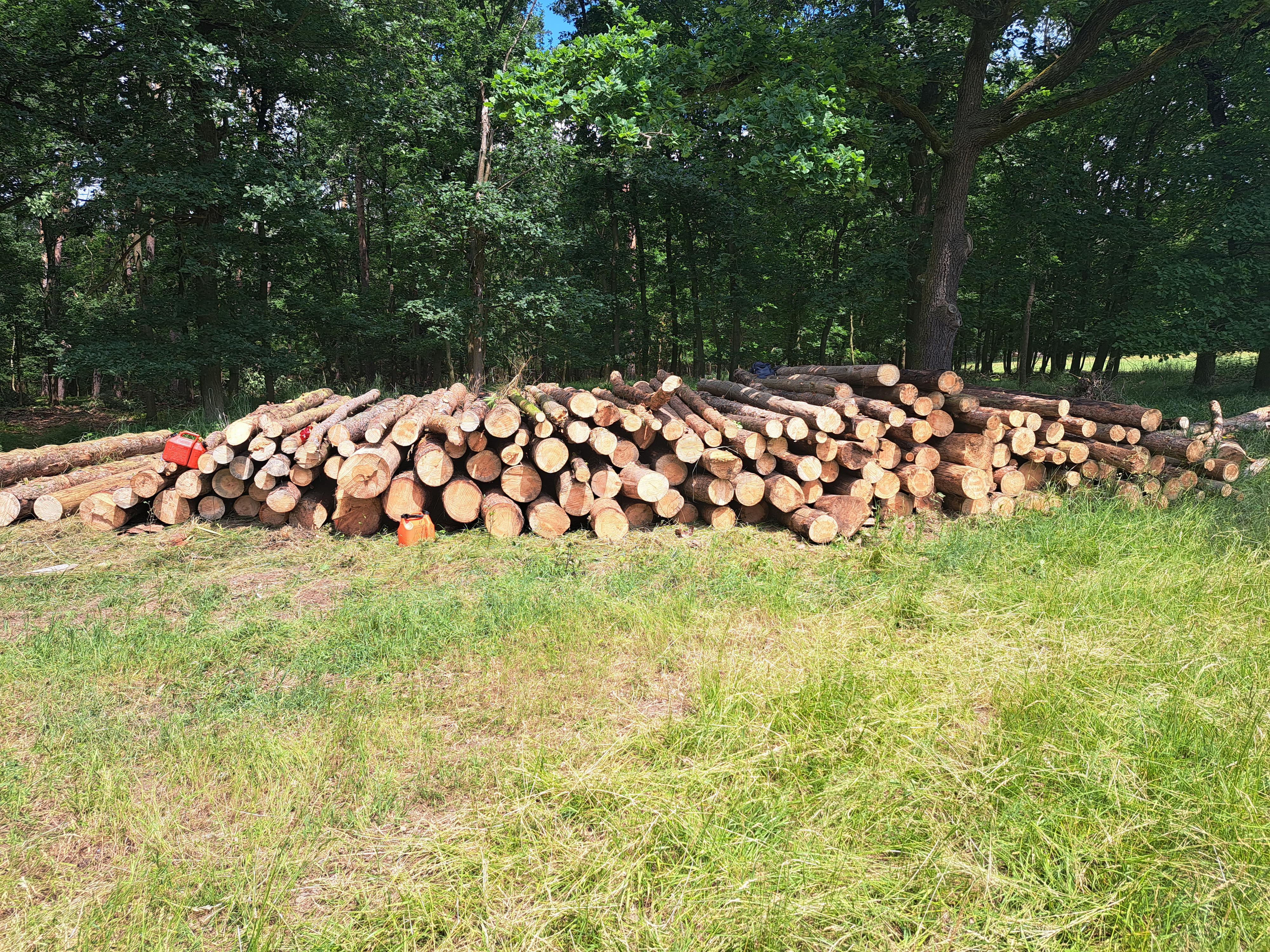 HaBr - Palivové dřevo Litoměřice foto 3