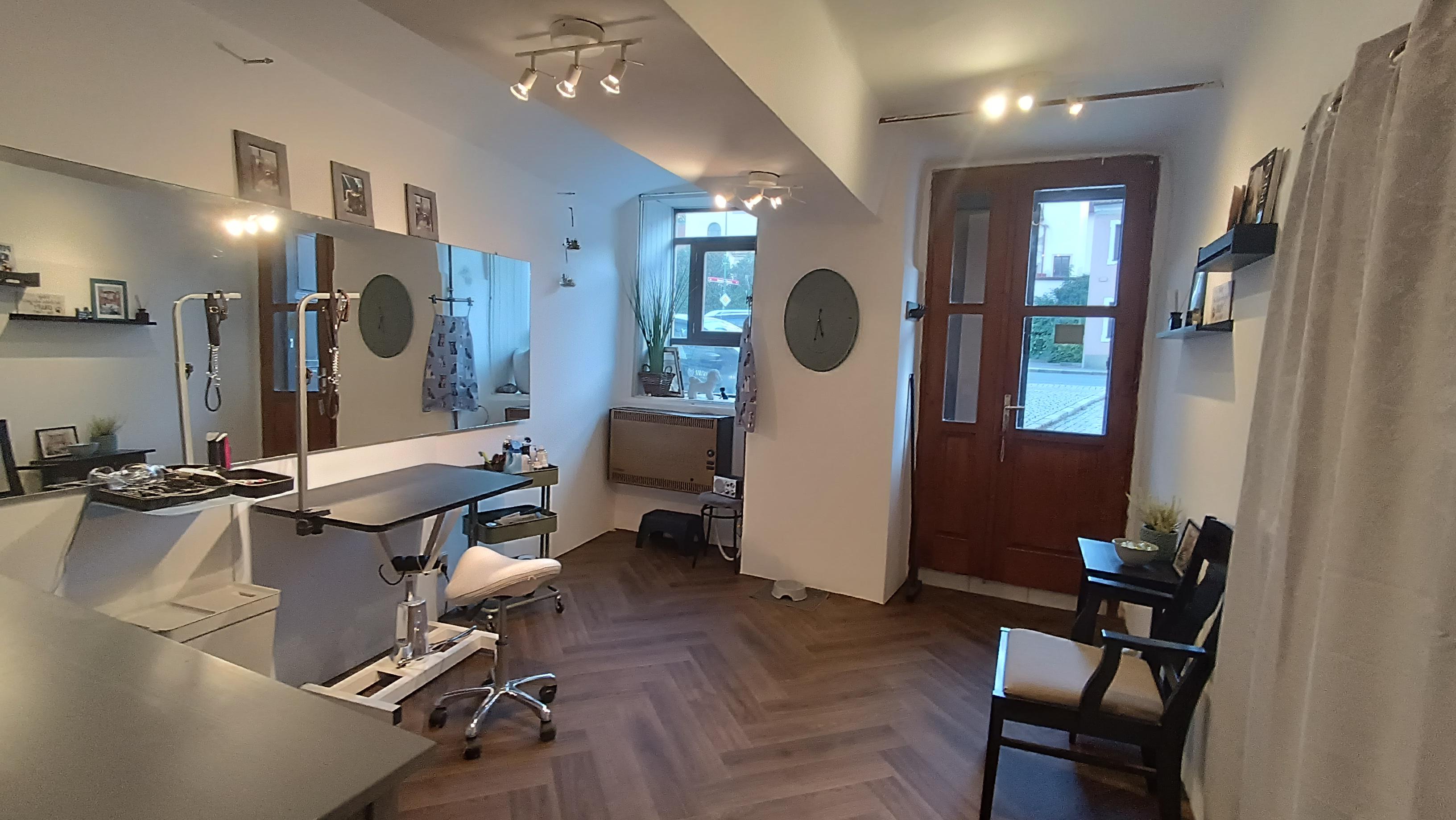 Stříhání psů Lenka Křížová