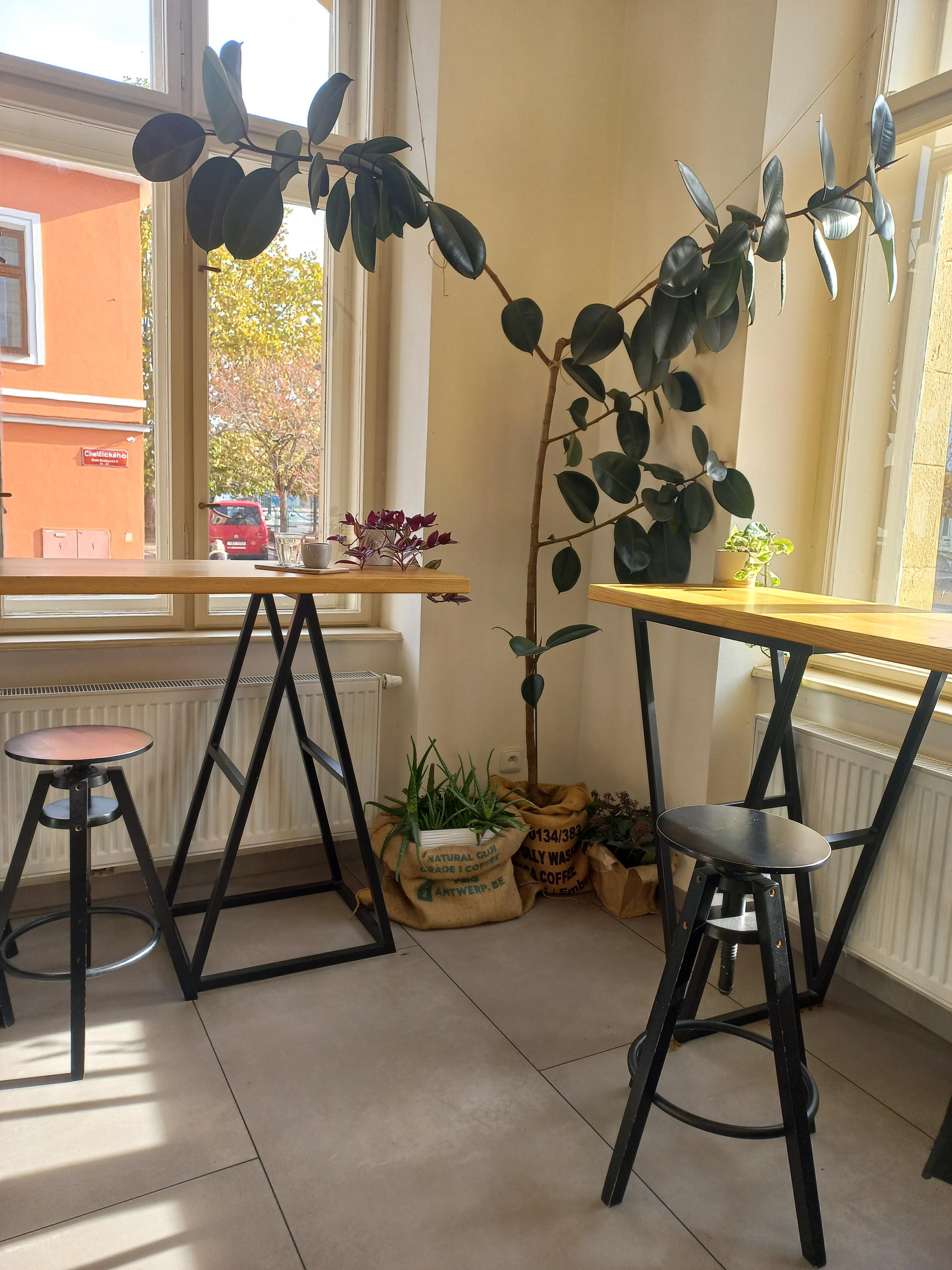 Kmen Coffee Roasters foto 5
