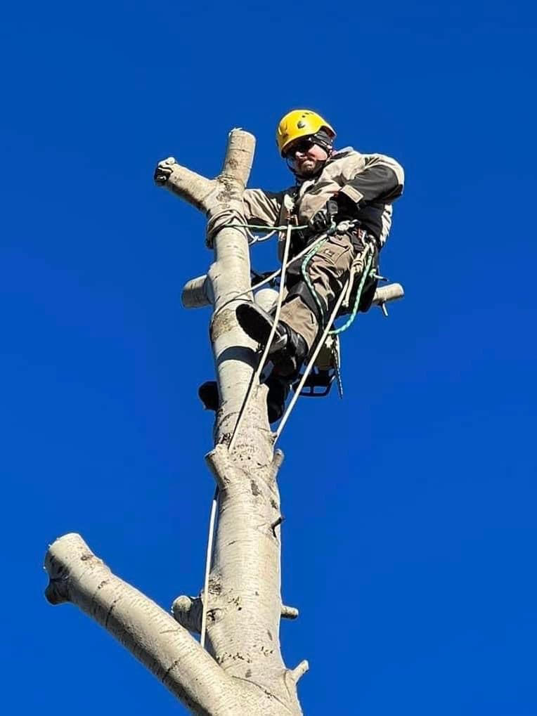 Realizace a údržba zahrad - Zelená péče foto 6