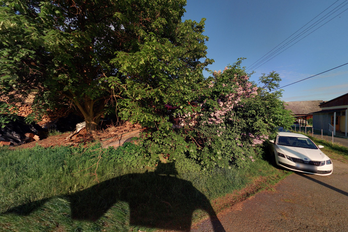 Mgr. Bc. Dan Sabó, DiS., LL.M., advokát