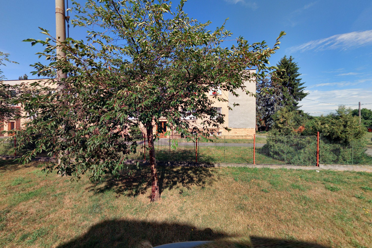 Ing. Ladislav Hořejší