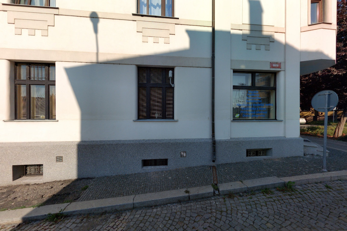 Alena Pleslová foto 2