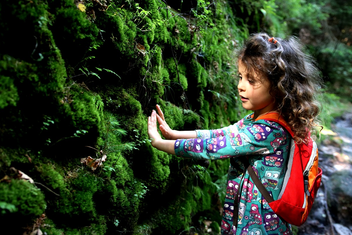Vzdělávací centrum TEREZA