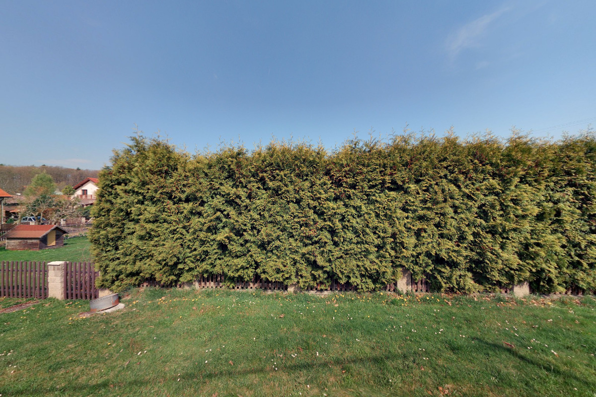 Sportovní klub Nová Telib