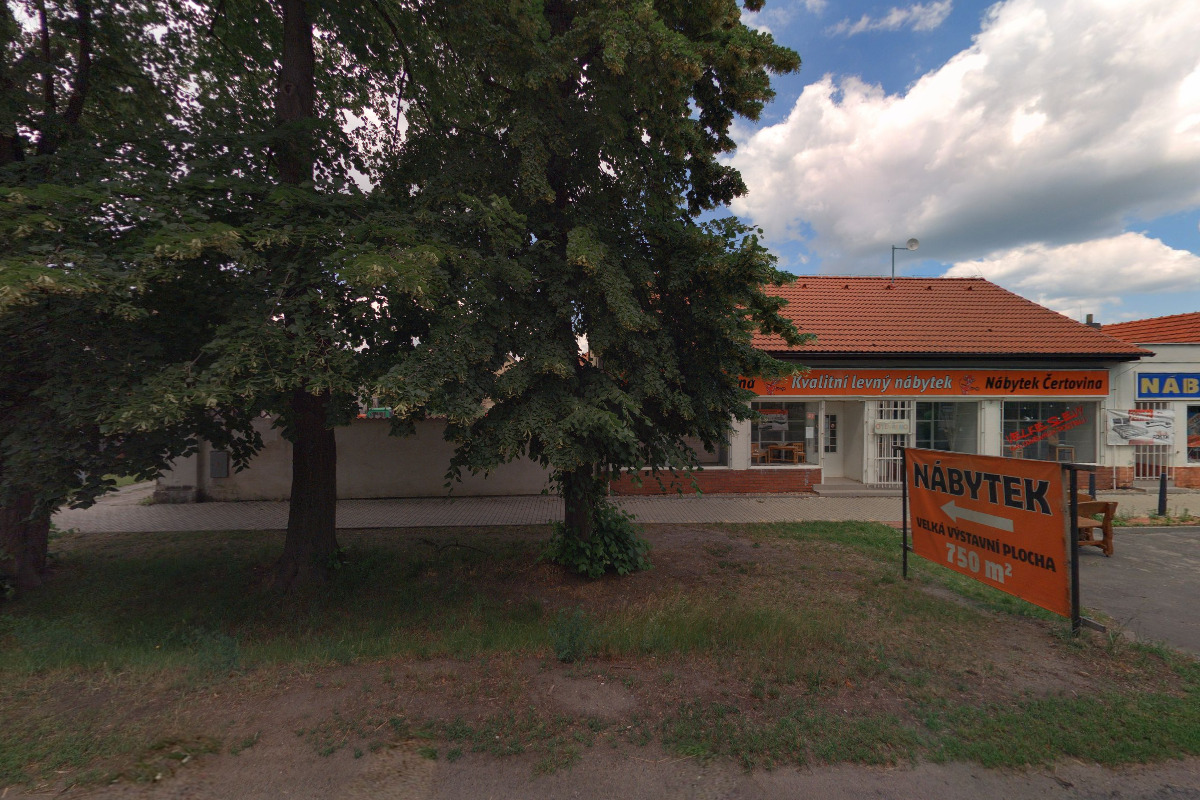 dřevo života foto 5