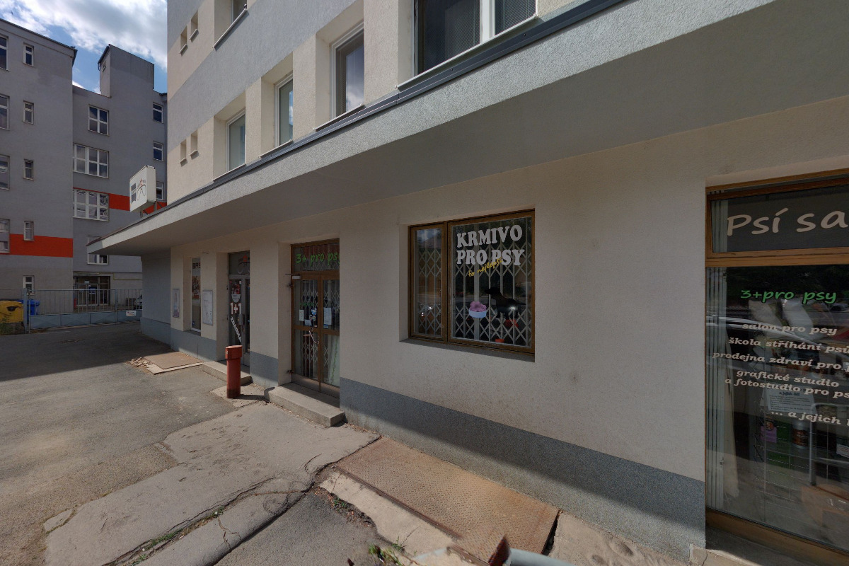 Psí salon na Borech