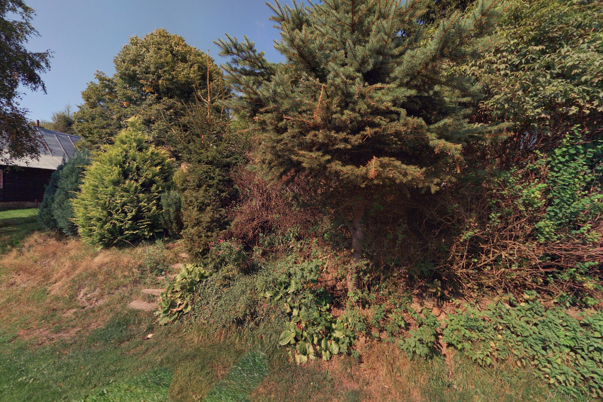 Jelení dřevěnice na Horní Halži