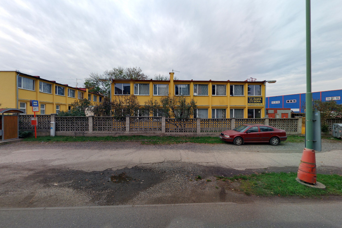ŽLUTÁ SOVA foto 5