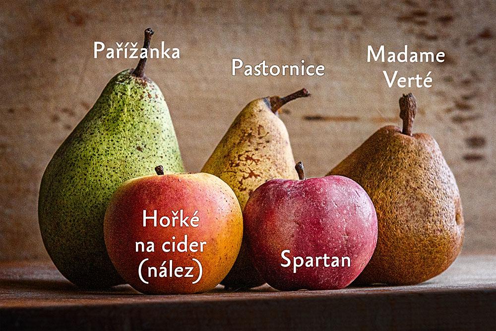 Sadař Václav foto 2