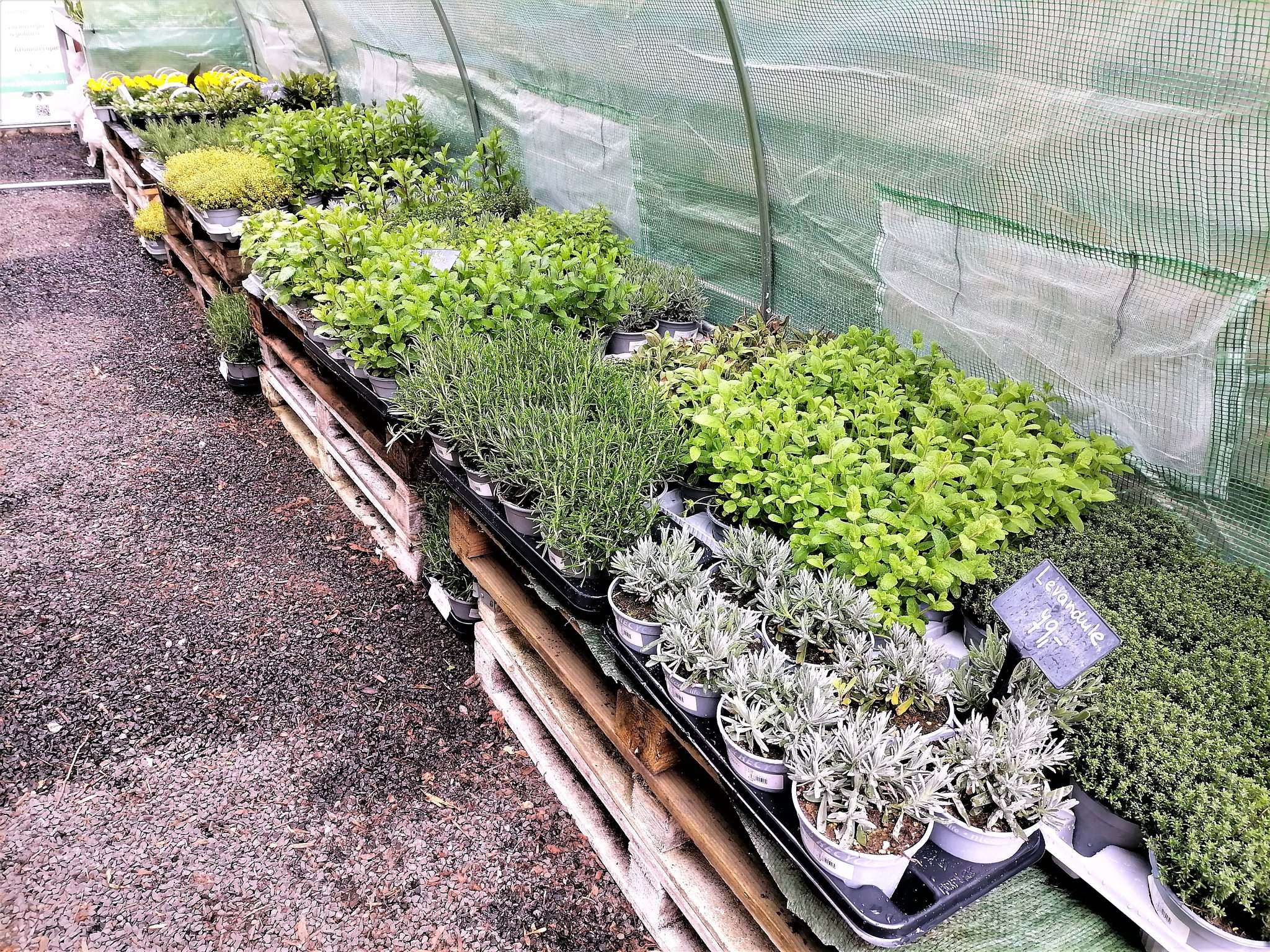 Zahradnické centrum Letokruh foto 3