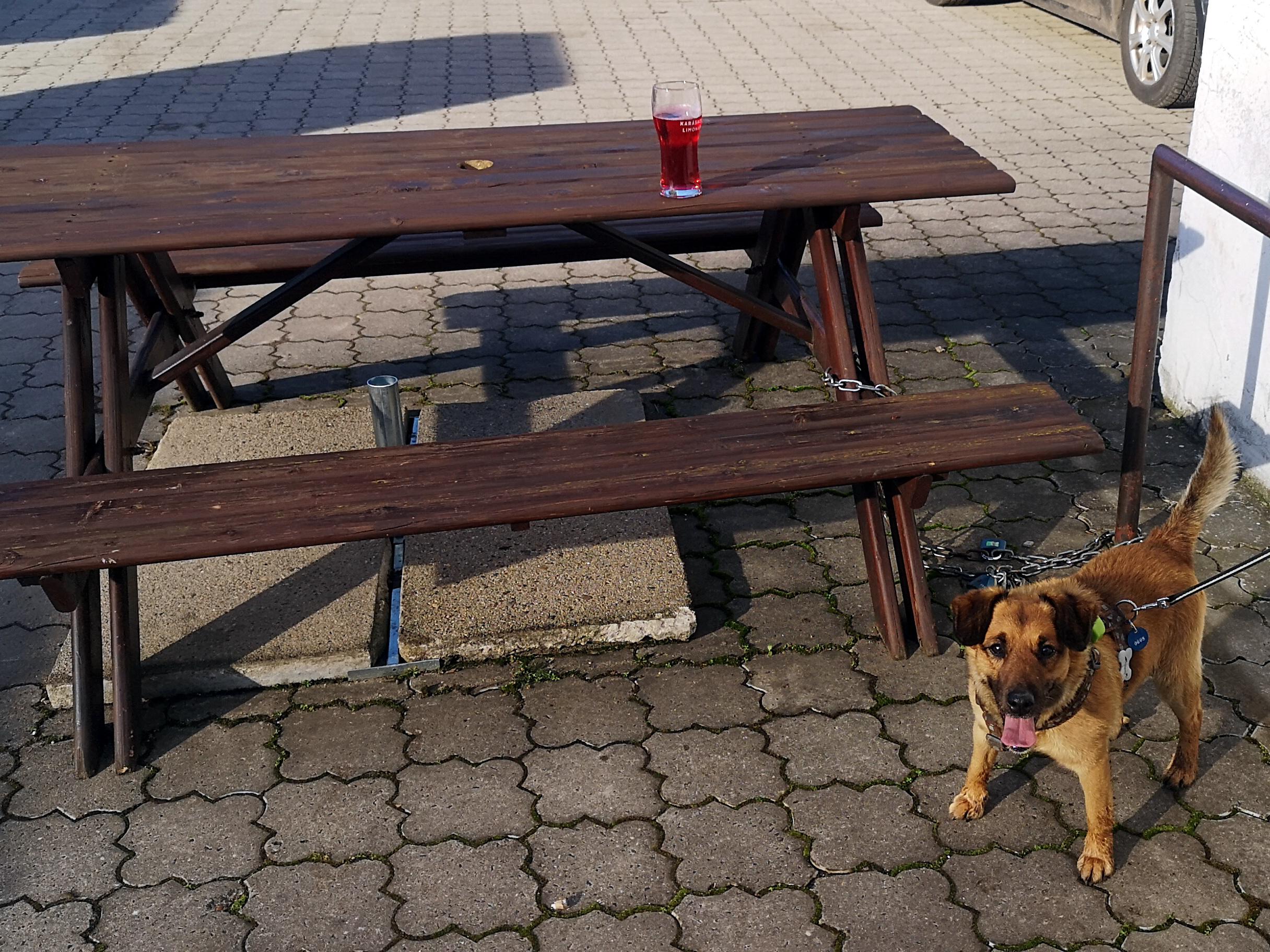 Obecní Hospůdka Kostomlátky foto 4