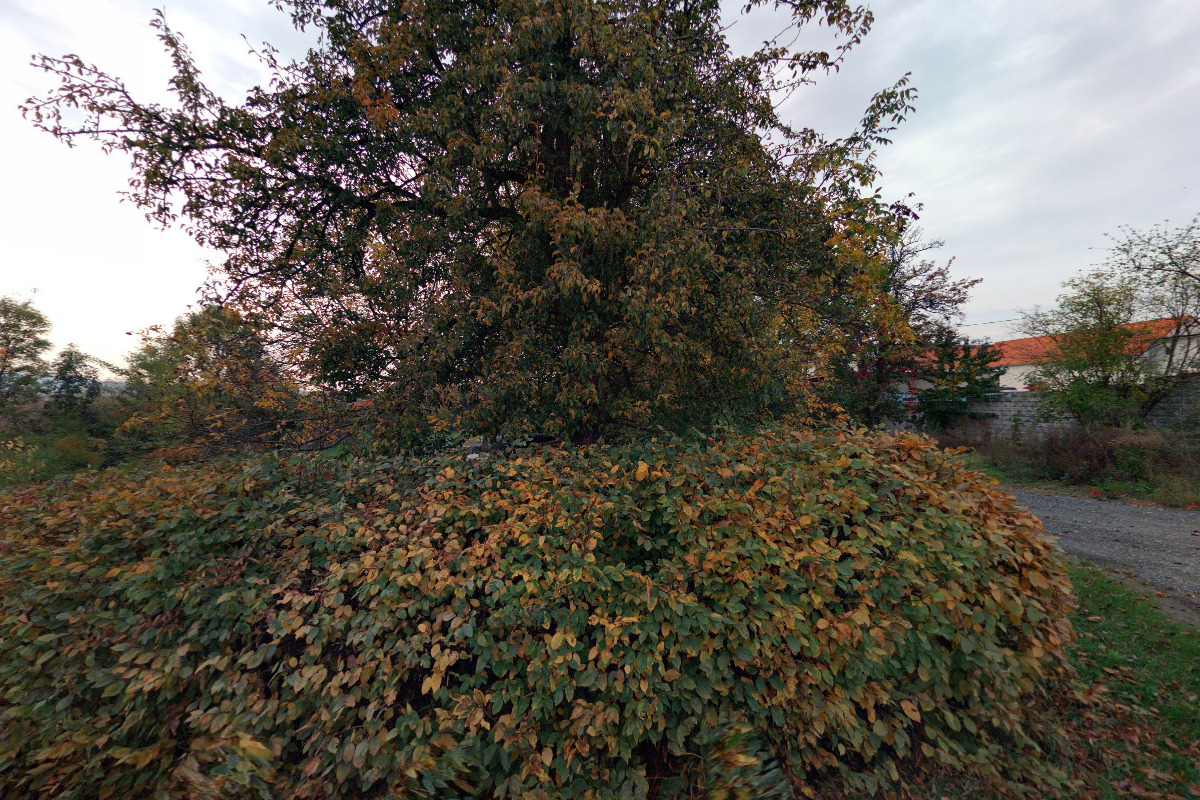 Nová Kubšovka, s.r.o. foto 1