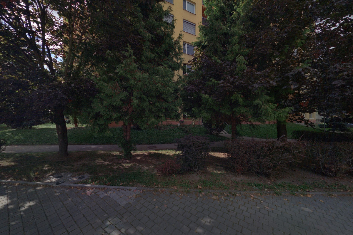 Andrea Ludvíková foto 2