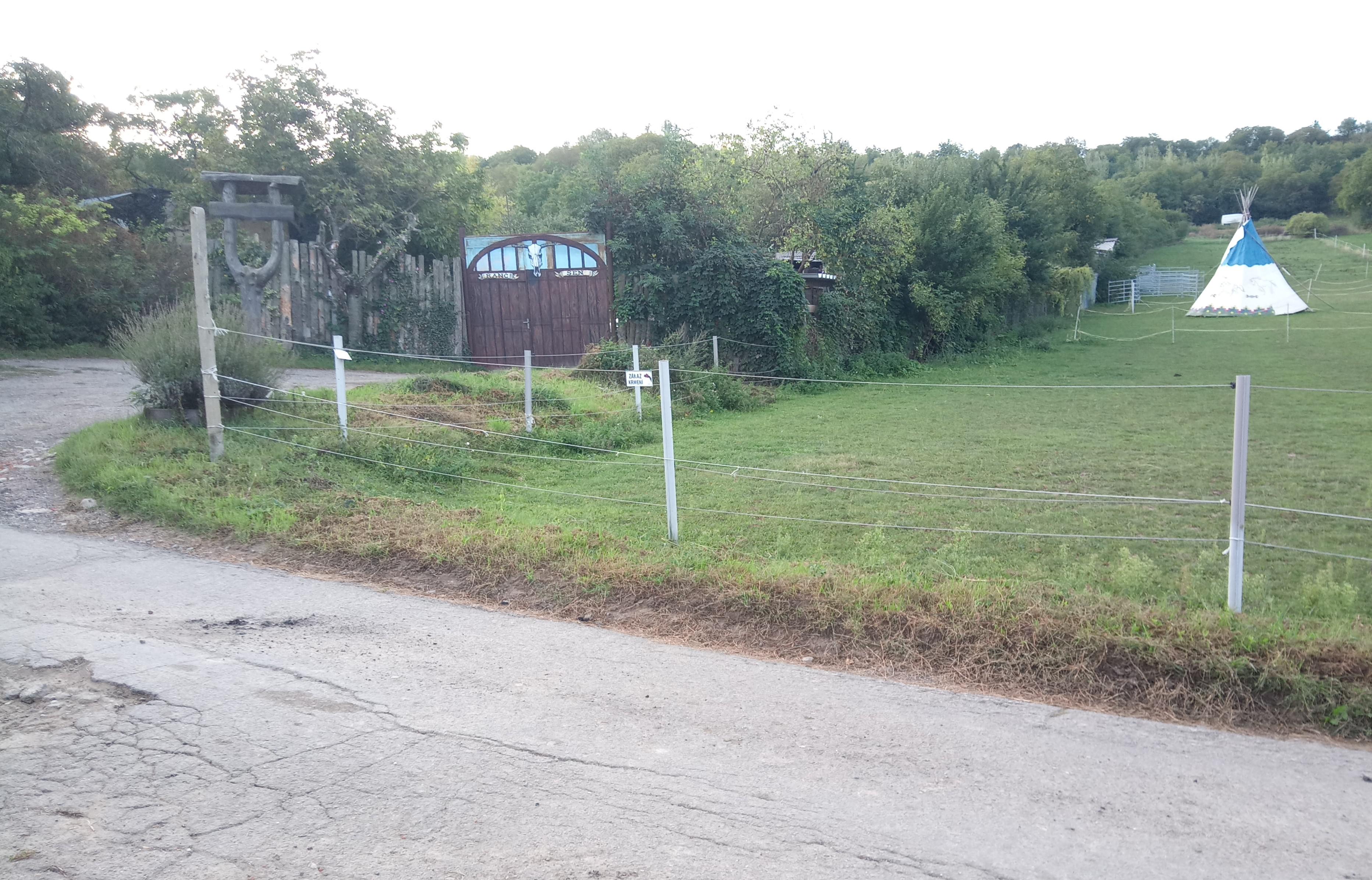 Jezdecký klub MUSTANG foto 4