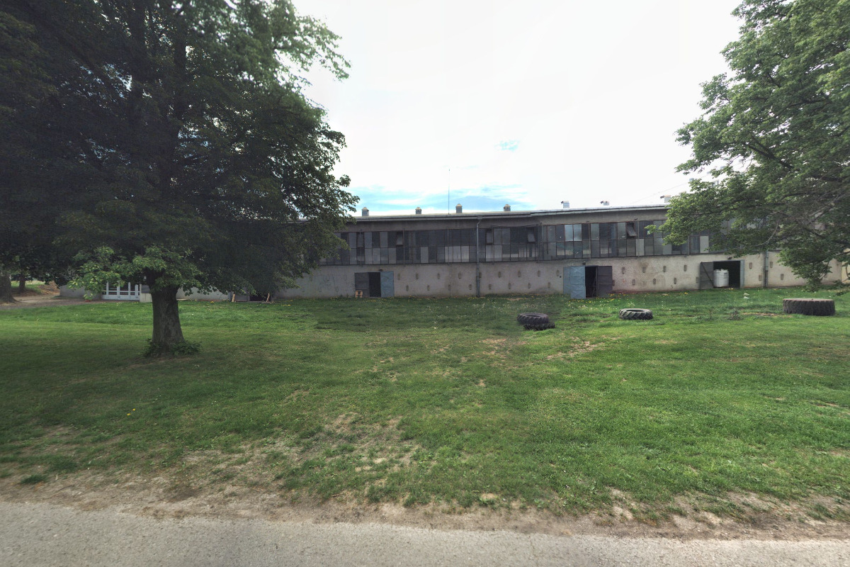 Hokejový klub Mladí Draci Šumperk foto 2