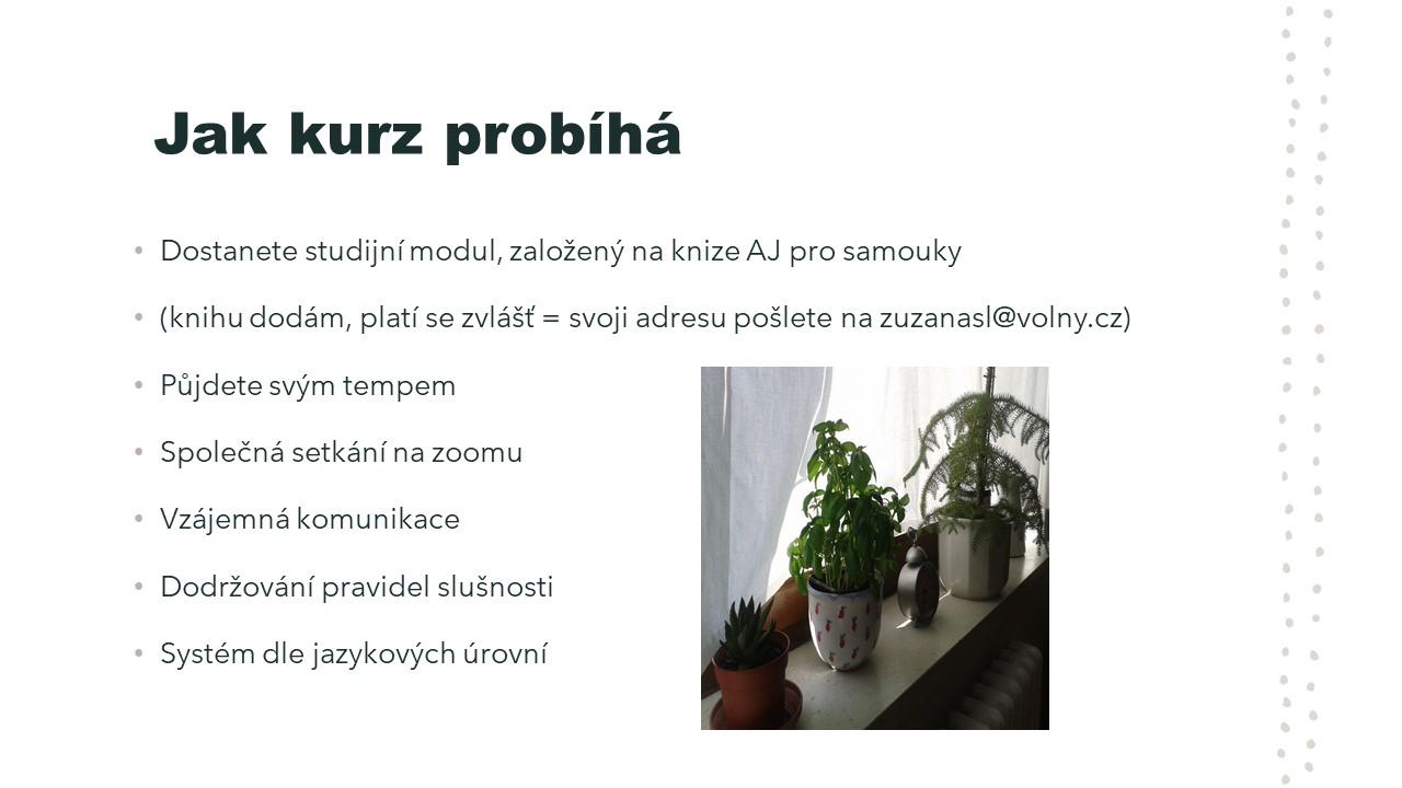 English - Angličtina, Mgr. Zuzana Slezáčková foto 5