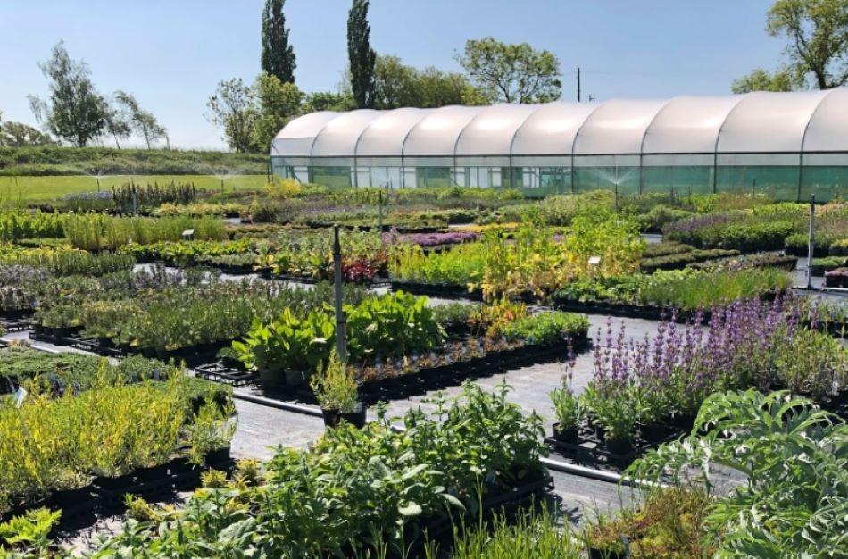 Zdraví v 5 ti krocích foto 1