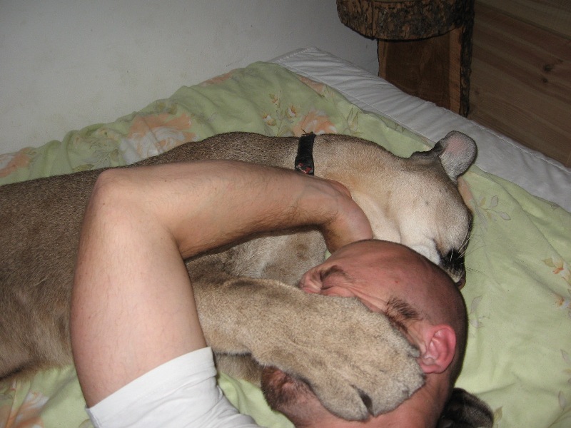 Puma Place Club foto 2