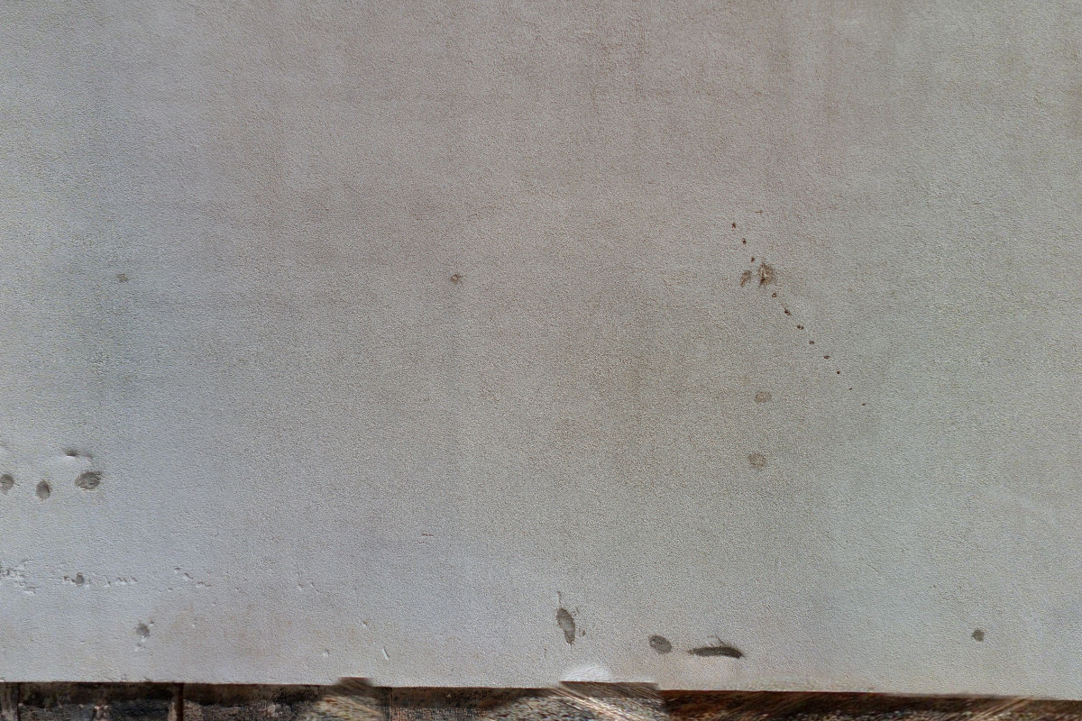 Ing. Roman Paseka foto 2