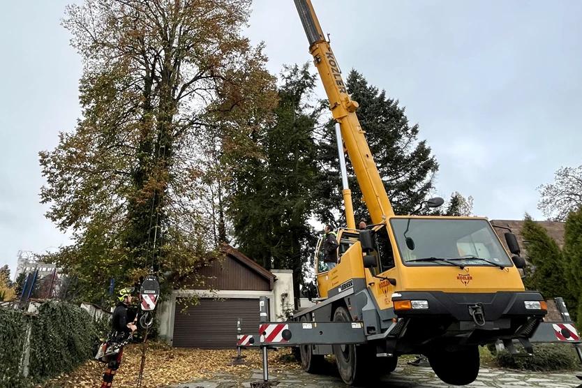 STROMY BEZ RIZIKA s.r.o. foto 5