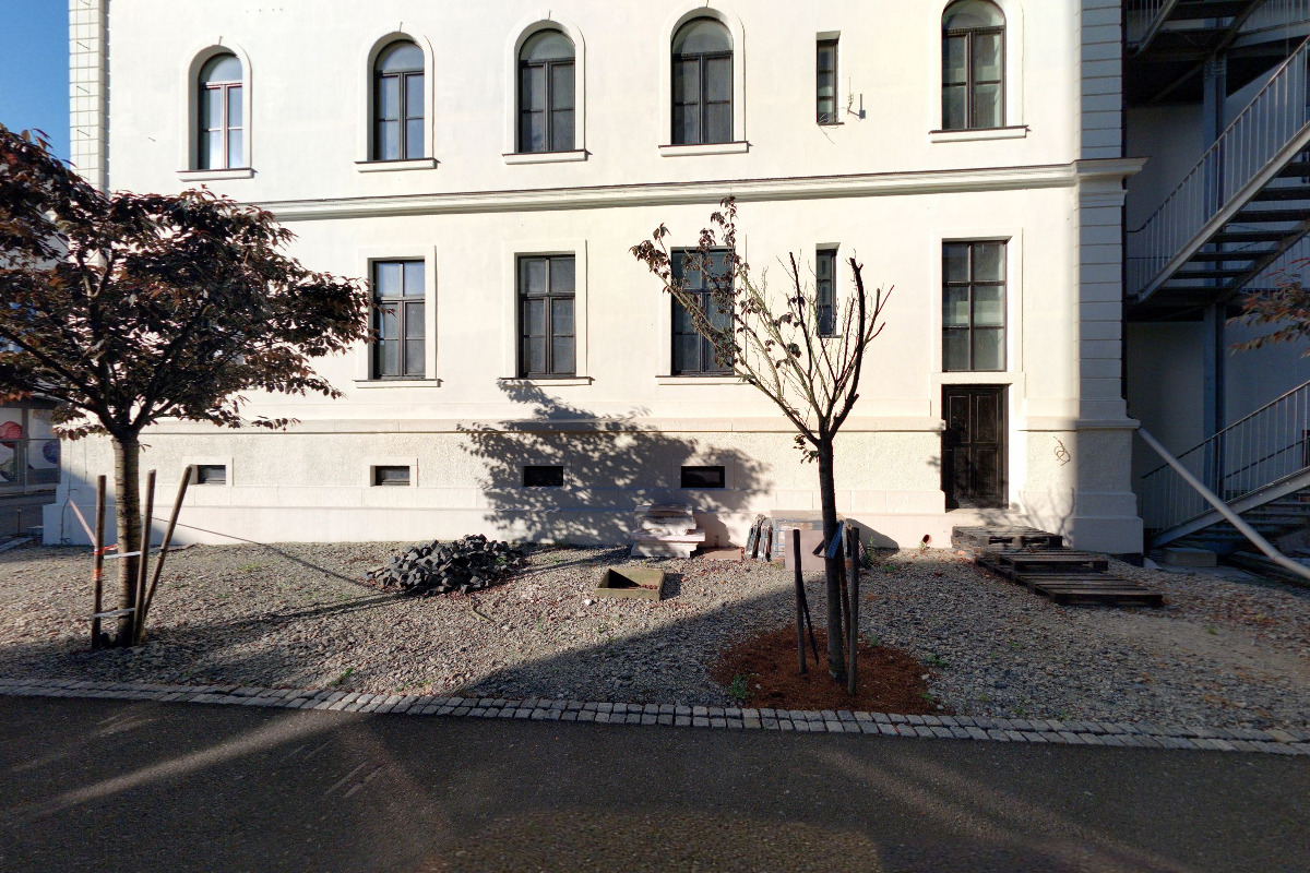 MUDr. Tomáš Balucha