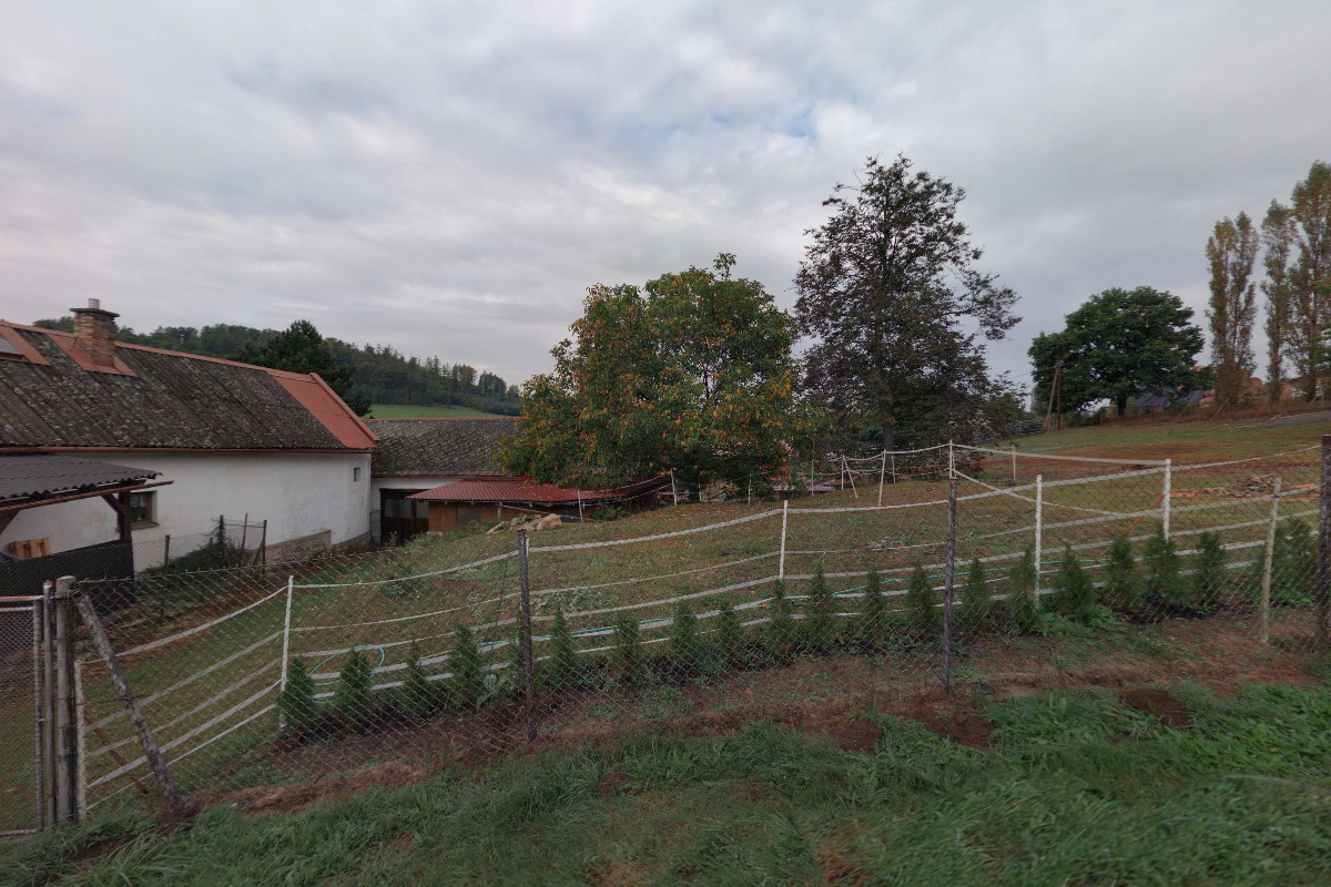 Monika Otavová - čínská medicína