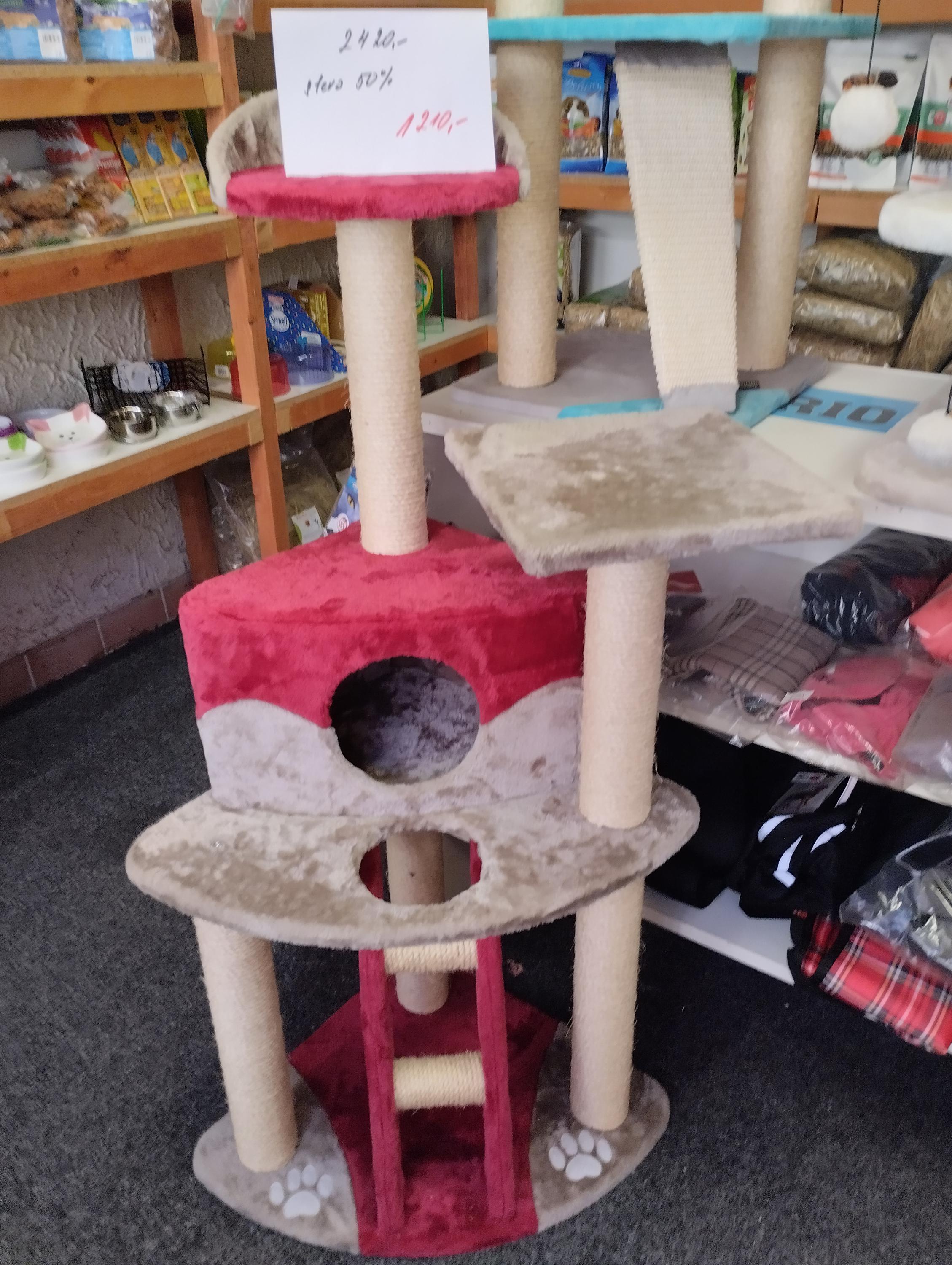 Eliška Forgáčová foto 3